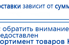 СКЭНАР-1-НТ (исполнение 01)  купить в Гатчине, Аппараты Скэнар купить в Гатчине, Дэнас официальный сайт denasolm.ru