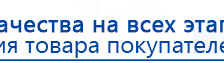 СКЭНАР-1-НТ (исполнение 01)  купить в Гатчине, Аппараты Скэнар купить в Гатчине, Дэнас официальный сайт denasolm.ru